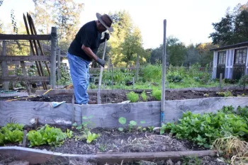 Planting potatoes in Napa and Sonoma County in March