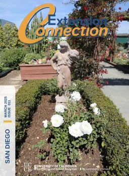 Spring Extension Connection Newsletter Cover
