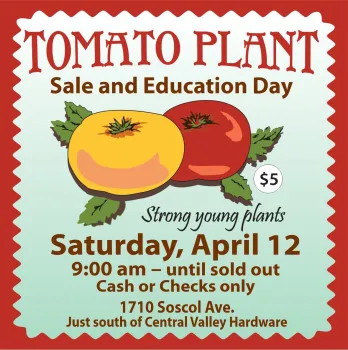 2025 Sale Flier