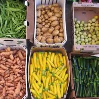 veggies
