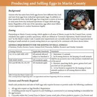 factsheet