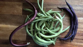 pole beans