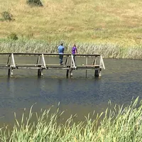 dock in pond
