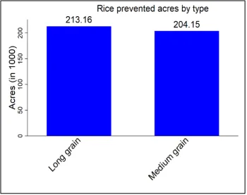 rice eco