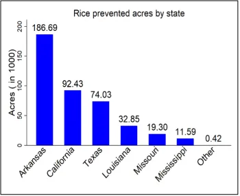 rice eco