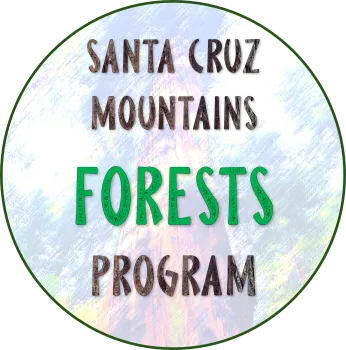 Santa Cruz Mountains Forests Program Graphic