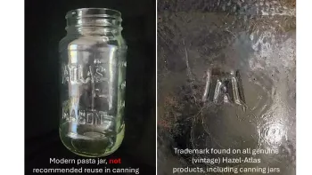 Hazel-Atlas vs Atlas Henry Shaw.png