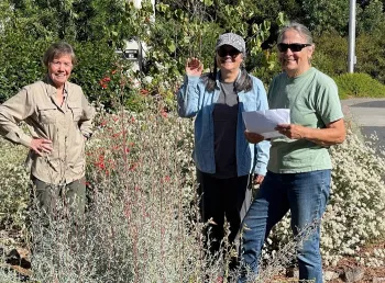 Pollinator California Native Plants SebARTS Demo Garden