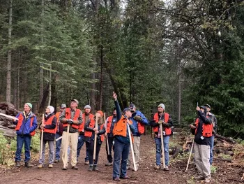 A group of people in a forest practice their forestry skills.