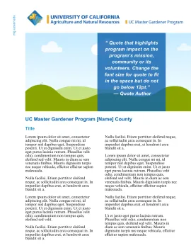 Impact Report Template