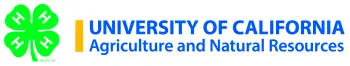 4-H Logo