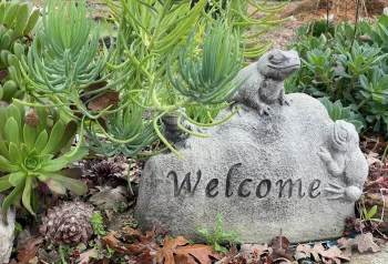 Find the Master Gardener Program application here for 2026 class