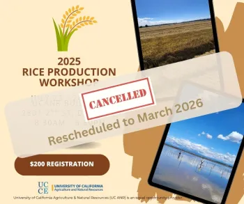 CANCELLED RICE PRODUCTION WORKSHOP