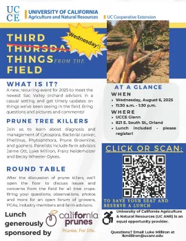 TTTF - AUGUST 2025 on Wednesday!