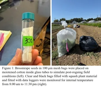 broomrape temp response methods