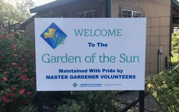 gos sign