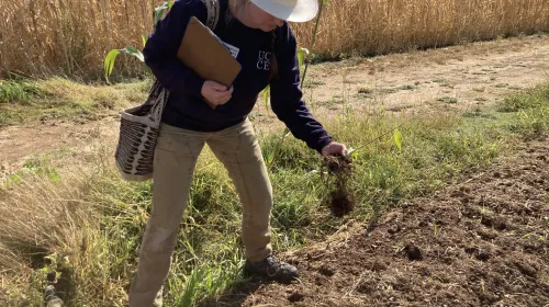 Margaret Lloyd, wearing a white, wide-brimmed hat and holding a clipboard, grabs a handful of soi from a tilled field.