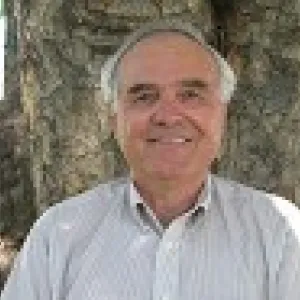 Ronald N. Vargas