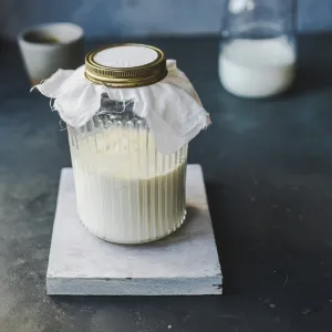 Fermented Dairy- Kefir/ Yogurt