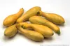 summer squash