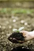 website soil 3