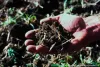 website soil 2