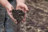 website soil