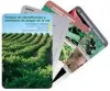 Vineyard Pest ID Cards - in English