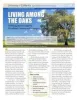 Living Among the Oaks - A Management Guide for Landowners