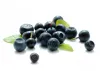 Blueberry