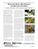 Removing Honey Bee Swarms and established hives_thmbnl-100w-129h