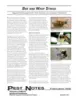 Bee and wasp stings_thmbnl-100w-129h