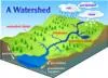 Watersheds Logo