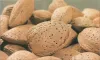 nuts