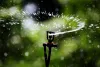 water-irrig
