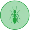Kit 4 - Ants