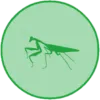Kit 5 - Praying Mantises