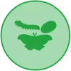 Kit 3 - Silkworms