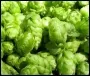 Hops California