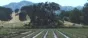 Nutrient Cycling