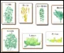 Fertilizer Guidelines