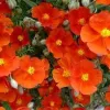 Waterwise Tips