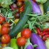 Vegetables