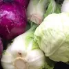 Cabbages