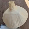 Garlic-Asian-Tempest-MG-Michelle-Myjer