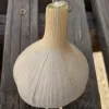 Garlic-Chesnok-Red-MG-Kathy-Kaplan