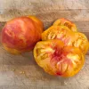 Tomato-Mary-Robinson-German-Bi-Color-MG-Karen-Schaffer