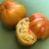 Tomato-Marvel-Striped-MG-Emily-Maslyn