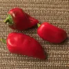Pepper-Lipstick-MG-DJ-DeProspero