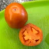 Tomato-Glory-of-Moldova-MG-Allison-Heisch